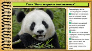 Роль тварин в екосистемах. Біологія. 7 клас. До підручника Андерсон О. А., Вихренко М. А., Чернінський А. О. та ін.