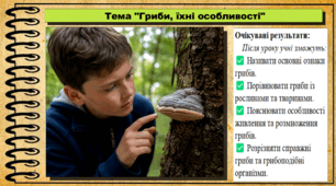 Гриби, їхні особливості. Біологія. 7 клас. До підручника Андерсон О. А., Вихренко М. А., Чернінський А. О. та ін.