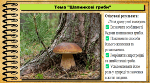 Шапинкові гриби. Біологія. 7 клас. До підручника Андерсон О. А., Вихренко М. А., Чернінський А. О. та ін.