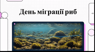 Відеоогляд "23 травня - Всесвітній день міграції риб"