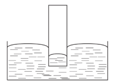 09020re7-d180-228x169.png