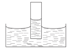 09020rej-d51f-241x165.png