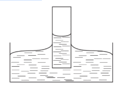 09020rf4-291f-235x168.png