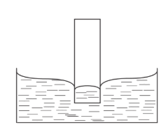 09020rft-1456-240x189.png