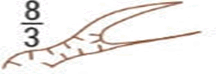 09020rkj-0db1-216x74.png
