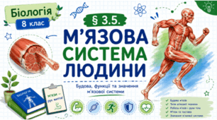 М'язова система людини. 8 клас НУШ