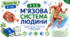 М'язова система людини. 8 клас НУШ