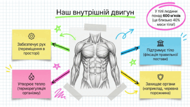 09020rtq-f8db-392x221.png