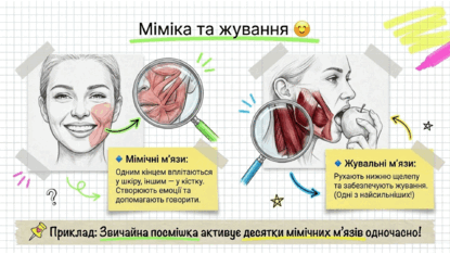 09020rtw-5691-415x234.png