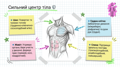 09020ru3-b688-391x220.png