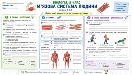 09020rxb-2fe9-433x244.png