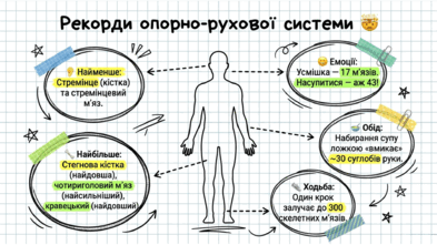 09020se6-a138-393x221.png