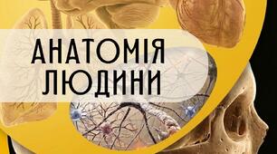 Labbook - робочий зошит з анатомії людини - Labbook