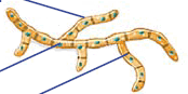 09020vxa-72e2-352x175.png