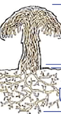 09020vyu-6348-180x335.png