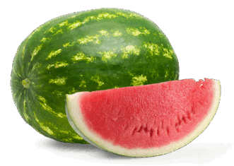 09020w1f-7188-331x235.png