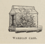 09020w3v-4829-155x150.png