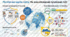 § 54. КРАЇНИ. Презентація, відеопрезентація, робочий аркуш