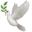 🕊️