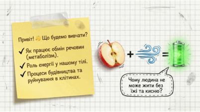 090214w4-6598-402x226.png