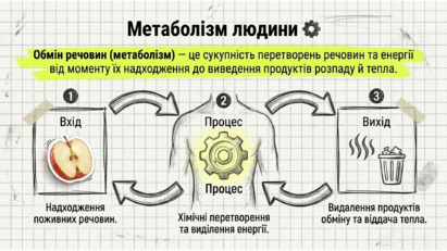090214wc-2e37-411x231.png
