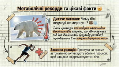 090214y4-59ec-389x219.png