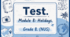 Test. Module 8: Holidays. Grade 8. (NUS)