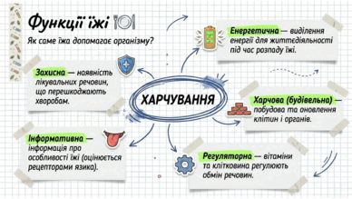 090216yg-3c3f-388x219.png