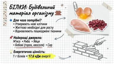 090216z5-0f6f-388x218.png