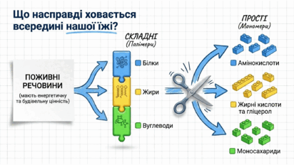 090219k2-7f86-412x232.png