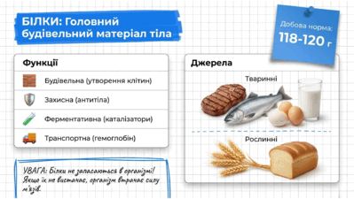 090219k3-5014-399x225.png