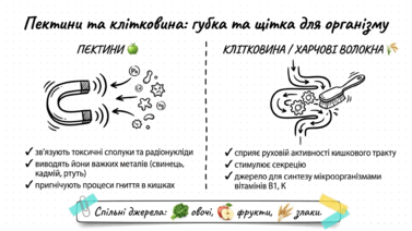 09021ant-37b2-377x212.png