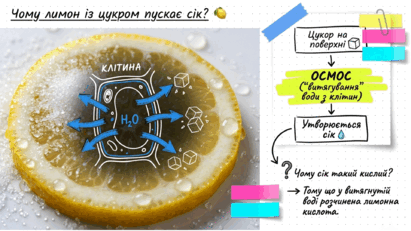 09021ao5-f1ed-411x231.png