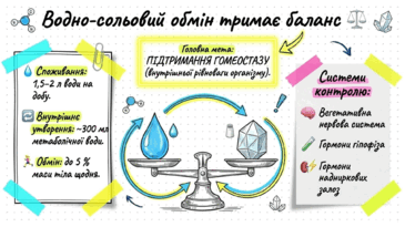 09021aob-f078-365x205.png