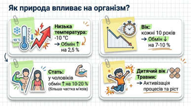 09021crb-4490-388x218.png
