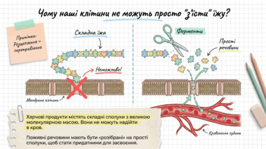 09021lgo-e5b6-385x216.png