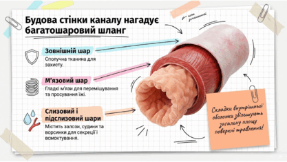 09021lha-bac8-417x235.png