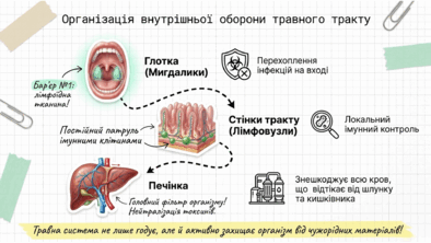 09021lhq-320e-394x222.png