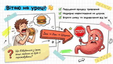 09021lyk-f059-392x221.png