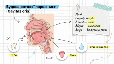 09021lz5-7a97-398x224.png