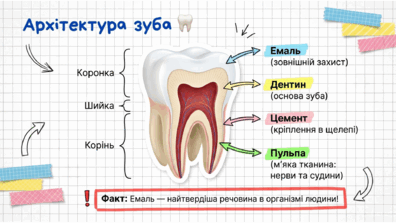 09021lzm-6261-396x223.png