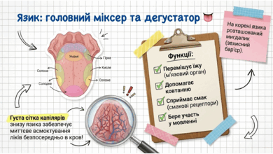 09021lzs-21ed-390x220.png