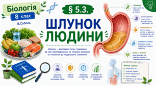Шлунок людини. Презентація, робочий аркуш