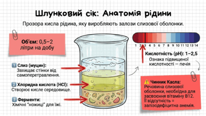 09021mdh-6d4b-406x229.png
