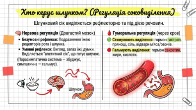 09021mec-0014-395x222.png