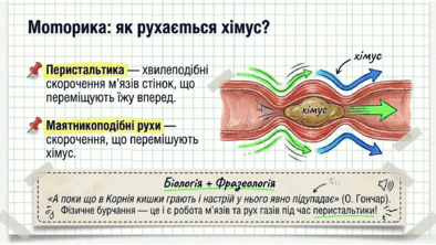 09021moi-b901-394x222.png