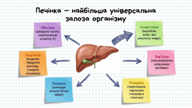 09021mon-2c17-391x220.png