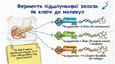 09021mpd-8f2f-395x222.png