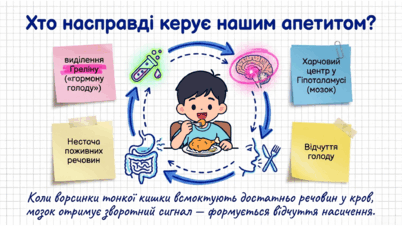 09021mpk-fe4b-402x226.png