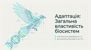 Презентація "Адаптація як загальна властивість біосистем" 11 клас